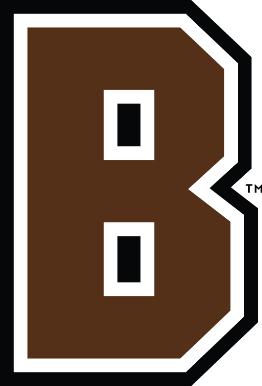 Brown Bears 2003-Pres Alternate Logo t shirts iron on transfers v2